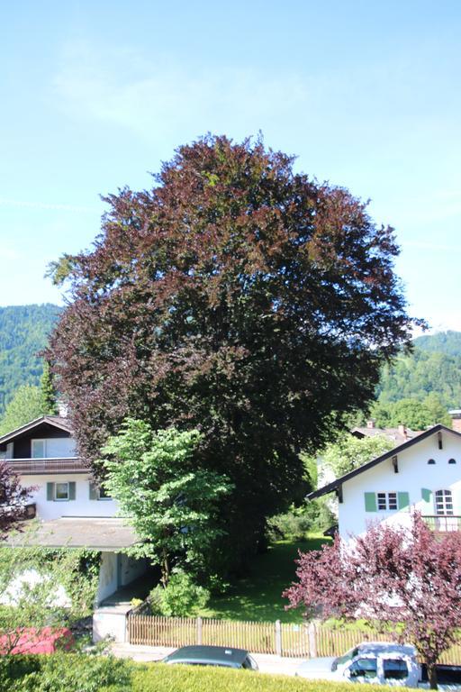 Alpen - Apartments Garmisch-Partenkirchen Eksteriør billede